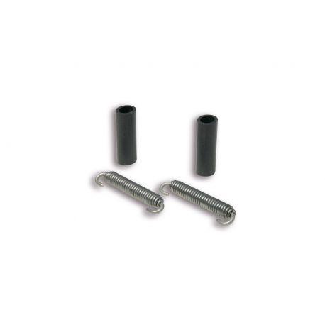 Vzmeti izpuha - MALOSSI Wild Lion