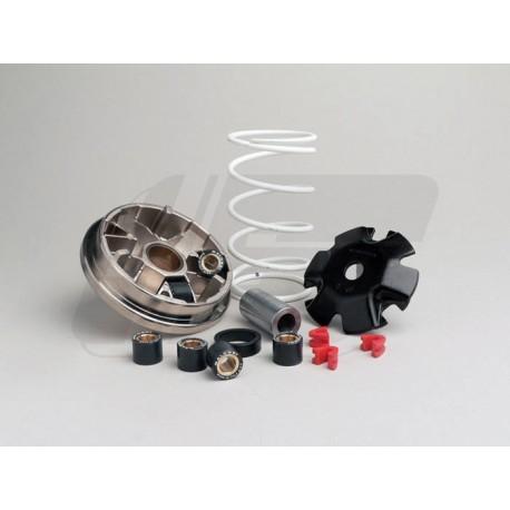 VARIOMAT - MALOSSI MULTIVAR 2000 - Peugeot 50cc (vertikal)