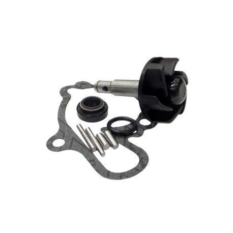 SET ZA OBNOVO VODNE ČRPALKE -MOTOFORCE- AM6 50cc