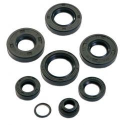 SET OLJNIH TESNIL ZA AGREGAT -MOTOFORCE- AM6 50cc