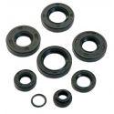 SET OLJNIH TESNIL ZA AGREGAT -MOTOFORCE- AM6 50cc