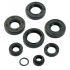 SET OLJNIH TESNIL ZA AGREGAT -MOTOFORCE- AM6 50cc