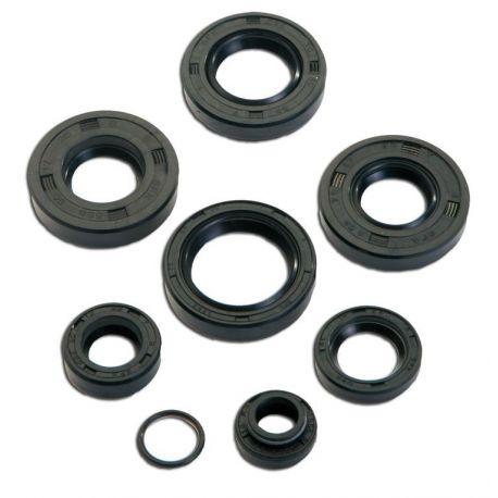 SET OLJNIH TESNIL ZA AGREGAT -MOTOFORCE- AM6 50cc