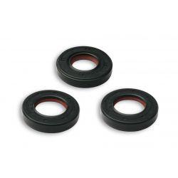 OLJNO TESNILO - MALOSSI za APRILIA RS 50 2T LC EURO 2 2006 (DERBI D50B1)