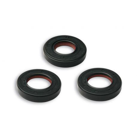 OLJNO TESNILO - MALOSSI za APRILIA RS 50 2T LC EURO 2 2006 (DERBI D50B1)