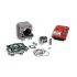CILINDERKIT - MALOSSI 79cc za PIAGGIO Liberty iGet, 50cc 4-t AC PIAGGIO 50cc 4-t AC, 2 ventila/4 ventili Ø 49mm, aluminium, 