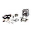 CILINDERKIT - MALOSSI 170cc za HONDA 125 Forza ABS i.e. 4T (JF60E), Ø 61mm, aluminium, hod 57,9mm, vklj Forcemaster injection 
