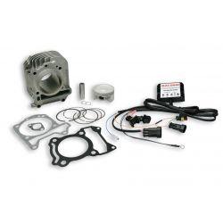 CILINDERKIT - MALOSSI 185cc za Vespa LX 3V (EU bis´06 /13)/Taiwan/Vietnam)/LXV 3V /S 3V /946 3V/Primavera 3V (Vietnam), 125-150