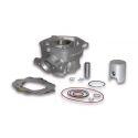 CILINDERKIT - MALOSSI TEAM 50cc LC Ø 39,8mm, aluminium, zatič 12mm, za modularno glavo