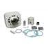 CILINDERKIT - MALOSSI MHR 50cc za VESPA ET2 50 2T 2000 in gor