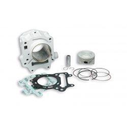 CILINDERKIT - MALOSSI 179cc za ROTAX engine za APRILIA Leonardo 125-150/Scarabeo 125, Ø 67,0mm, aluminium, 2 batna obročka,