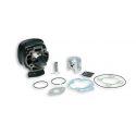 CILINDERKIT - MALOSSI nadomestni CAST-I-CYLINDER Ø 47 H2O za DERBI ATLANTIS 50 2T LC
