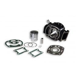 CILINDERKIT - MALOSSI 90cc za HONDA MBX R 80/MTX/75 NSR, 2t LC Ø 53mm, cast iron, 2batna obročka, zatič 12mm
