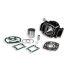 CILINDERKIT - MALOSSI 90cc za HONDA MBX R 80/MTX/75 NSR, 2t LC Ø 53mm, cast iron, 2batna obročka, zatič 12mm