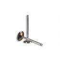 Vsisni ventil - MALOSSI V4 Head M3813273 za Leader/Quasar 125-300cc 4t, LC 2 ventila