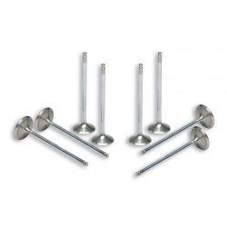 Ventili - MALOSSI za original glavo cilindra, za YAMAHA 500 T -Max (Verg.)/T-Max i.e. 