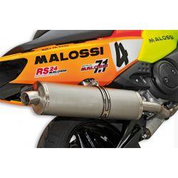 IZPUH - MALOSSI Wild Lion, za YAMAHA T-Max i.e. (08) 500cc 4t, LC brez e-pass, z DB-Killer