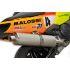 IZPUH - MALOSSI Wild Lion, za YAMAHA T-Max i.e. (08) 500cc 4t, LC brez e-pass, z DB-Killer