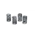 Set vzmeti ventilov - MALOSSI za HONDA SH/SHI Scoopy 300 i.e. NF02E, 4 kosi