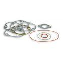SET TESNIL - MALOSSI MHR Team za M3112642/M3112642T /M3113039 68cc za MINARELLI LC