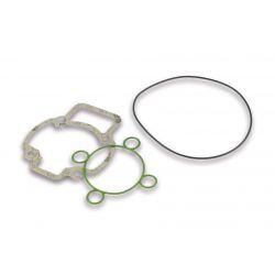 SET TESNIL - MALOSSI za cilinderkit M3112044 68cc