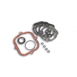 SET TESNIL - GASKET SET Ø 39 (več debelin- O-RING) H2O MBK (AV 10 )