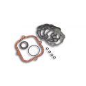 SET TESNIL - GASKET SET Ø 39 (več debelin- O-RING) H2O MBK (AV 10 )