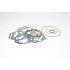 SET TESNIL - GASKET SET Ø 39,88 (VEČ DEBELIN- O-RING) (DERBI D50B0/1)