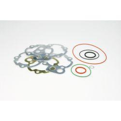 SET TESNIL - MALOSSI MHR TEAM za cylinder M3112381 /M3112386 50/79cc za MINARELLI AM 3-6 2t, LC različna debelina, O-rings