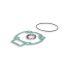 SET TESNIL - MALOSSI za M318237 172cc GILERA TYPHOON X 125 2T