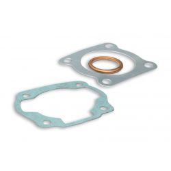 SET TESNIL - MALOSSI za cilinder M316405 68cc
