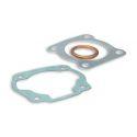SET TESNIL - MALOSSI za cilinder M316405 68cc
