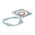 SET TESNIL - MALOSSI za cilinder M316405 68cc
