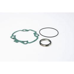 SET TESNIL - MALOSSI za PEUGEOT 100cc 2t AC Ø 55 mm, za cilinder M3111081 z original glavo cilindra
