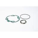 SET TESNIL - MALOSSI za PEUGEOT 100cc 2t AC Ø 55 mm, za cilinder M3111081 z original glavo cilindra