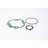 SET TESNIL - MALOSSI za PEUGEOT 100cc 2t AC Ø 55 mm, za cilinder M3111081 z original glavo cilindra