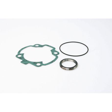 SET TESNIL - MALOSSI za PEUGEOT 100cc 2t AC Ø 55 mm, za cilinder M3111081 z original glavo cilindra