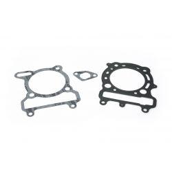 SET TESNIL - MALOSSI za cilinderkit M319578 290cc za YAMAHA X MAX 250 4T LC Ø 74 mm