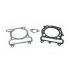 SET TESNIL - MALOSSI za cilinderkit M319578 290cc za YAMAHA X MAX 250 4T LC Ø 74 mm