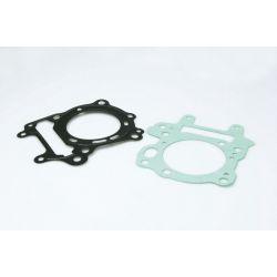 SET TESNIL - MALOSSI za cilinder M319990 179cc za APRILIA LEONARDO 125 4T LC Ø 67 mm