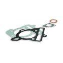 SET TESNIL - MALOSSI ZA CILINDER M319518 ZA MAXI SCOOTER 125cc 4t