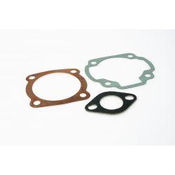 SET TESNIL - MALOSSI za cilinder M3111374 124cc za APRILIA SCARABEO 100 2T