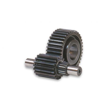 SEKUNDARNI PRENOSI - 22/45 teeth, MALOSSI Secondary, za Vespa GTS/GTS Super/GTV/GT 60 250-300ccm 4T LC