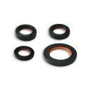 SET OLJNIH TESNIL - GILERA/PIAGGIO 50cc 2t AC/LC MALOSSI, FKM/PTFE, 17x28x5 /30x47x6/18x28x7/19x30x7 mm