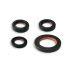 SET OLJNIH TESNIL - GILERA/PIAGGIO 50cc 2t AC/LC MALOSSI, FKM/PTFE, 17x28x5 /30x47x6/18x28x7/19x30x7 mm